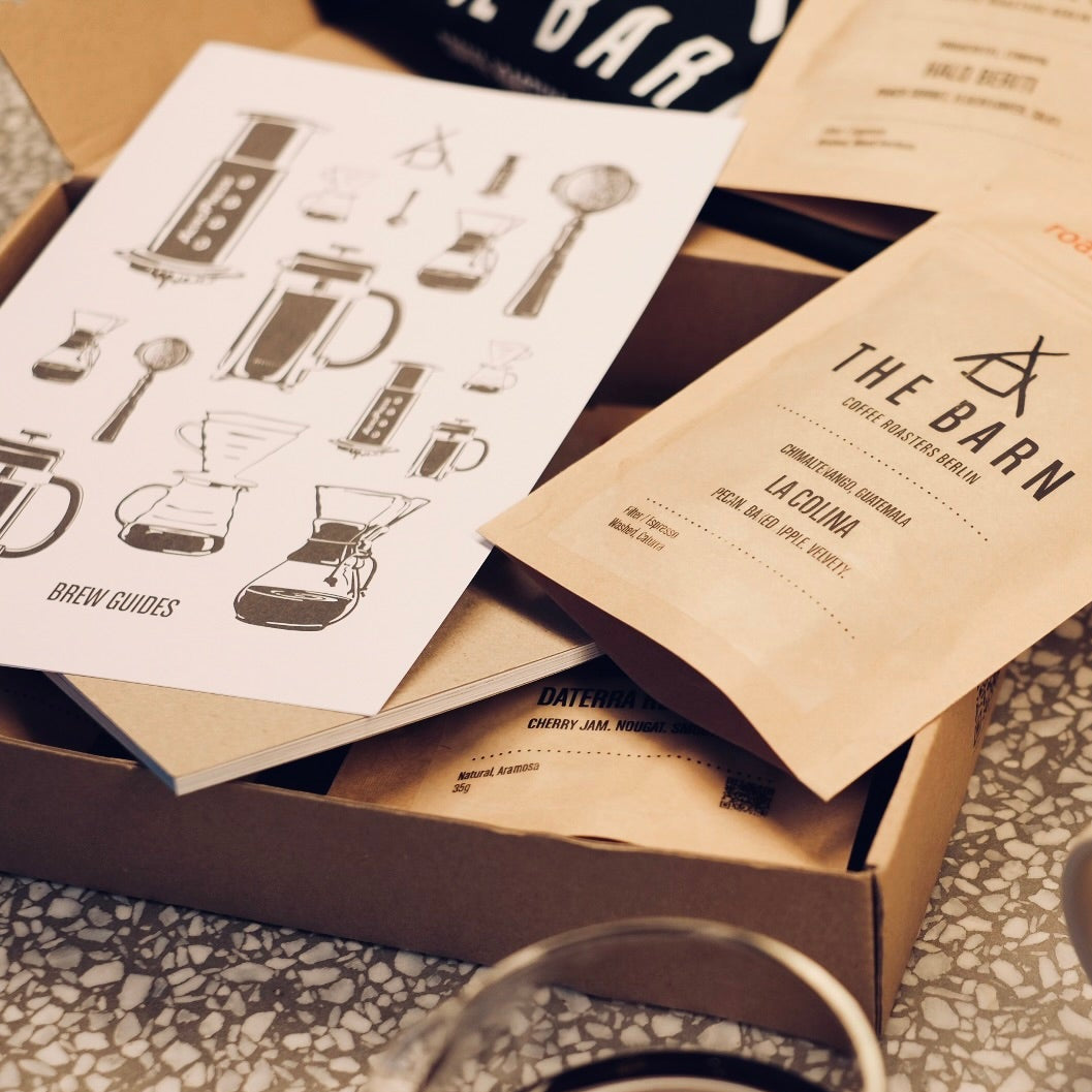DISCOVERY BOX