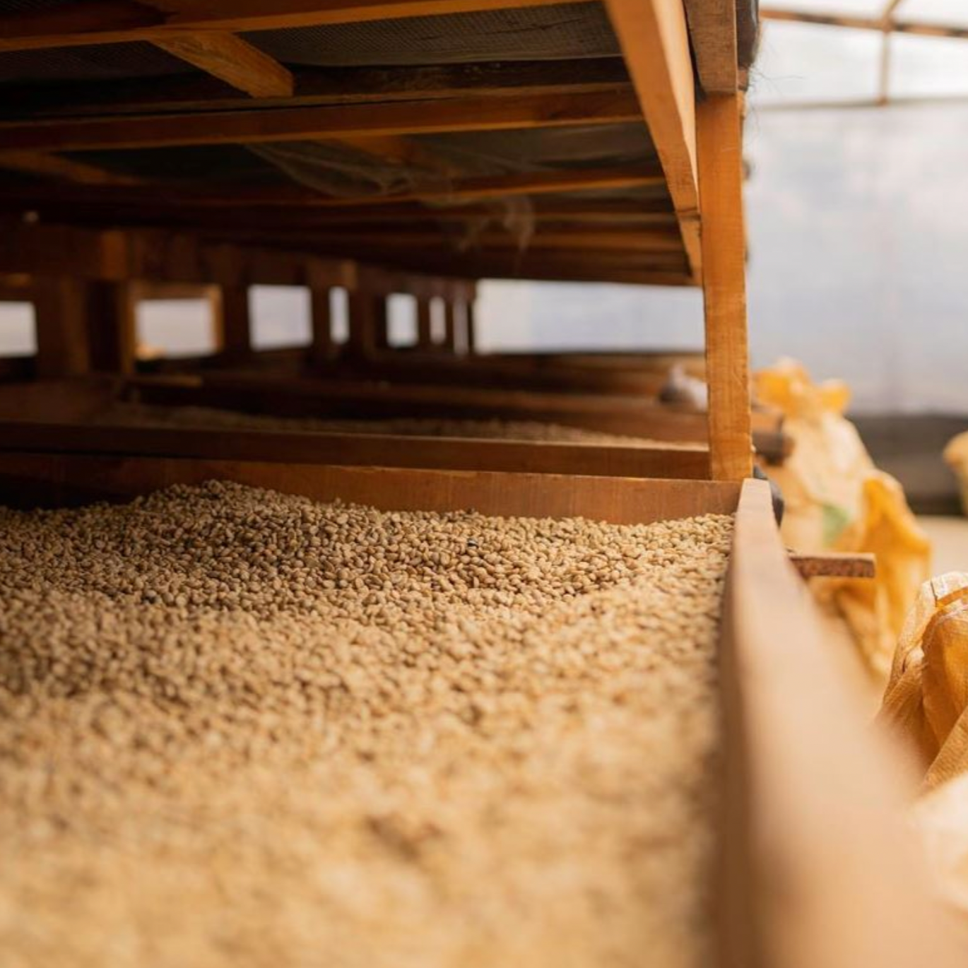 FINCA GASCON HEFEFERMENTATION