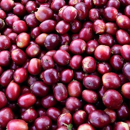 FRUCHTIGES KAFFEE PROBIERSET