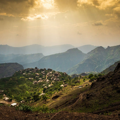 YEMEN ALCHEMY