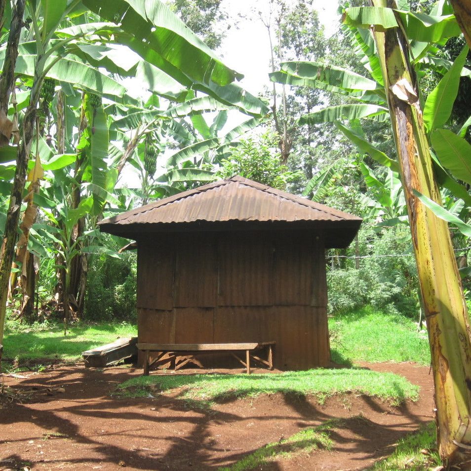 KII PEABERRY