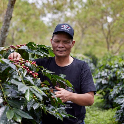 ASMAN GAYO