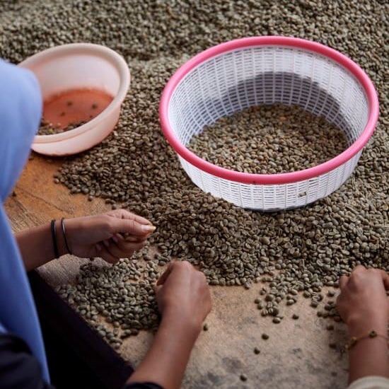 ASMAN GAYO