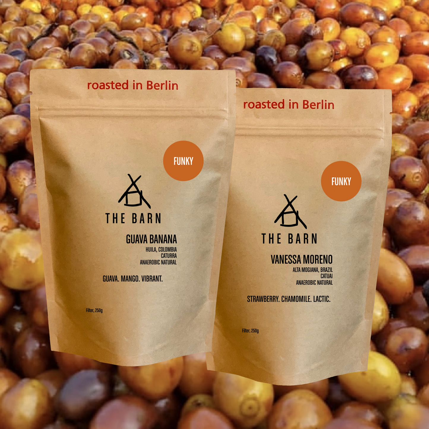 FUNKY KAFFEE PROBIERSET